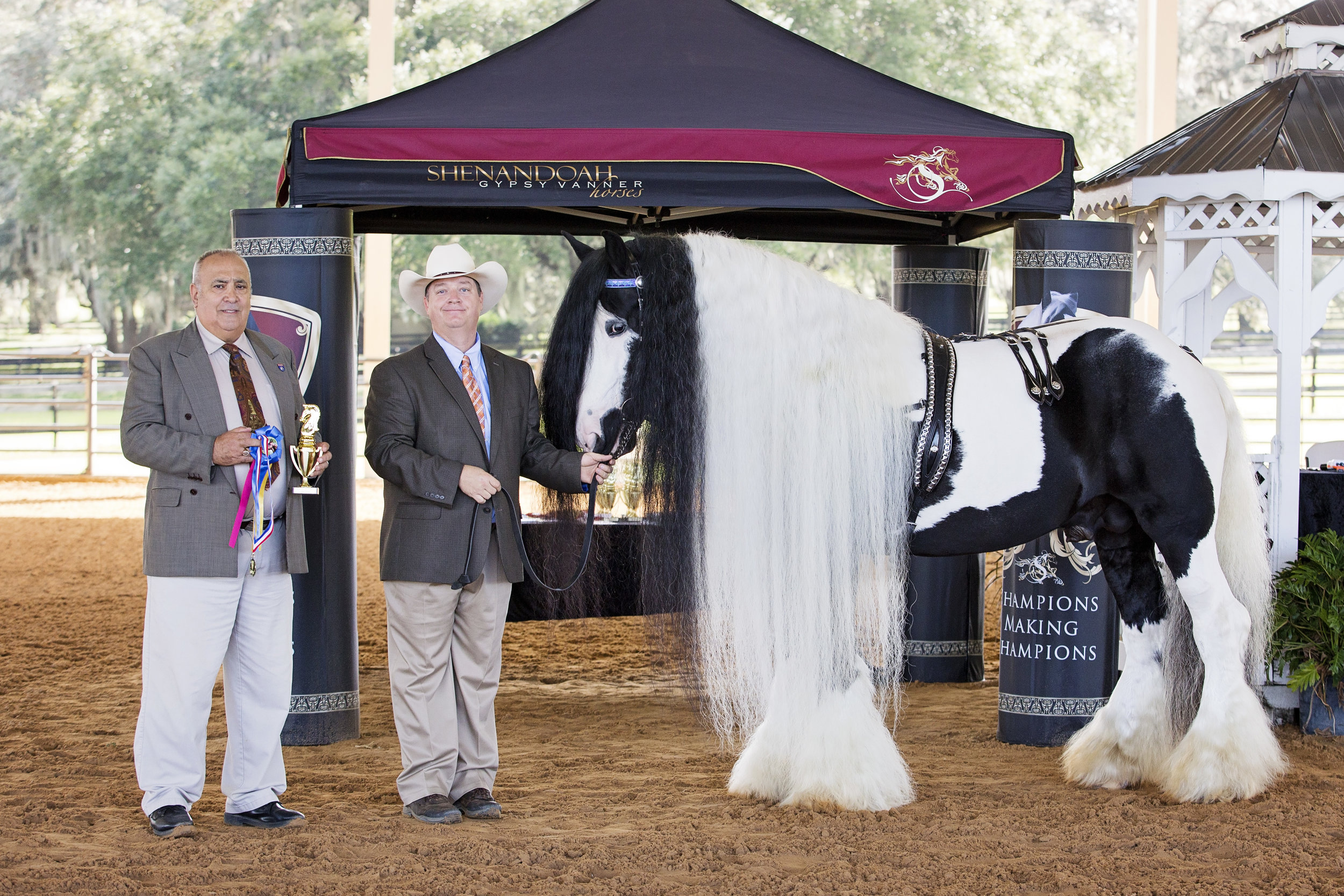 WorldSupremeGypsyChampion_VDP_0358.jpg