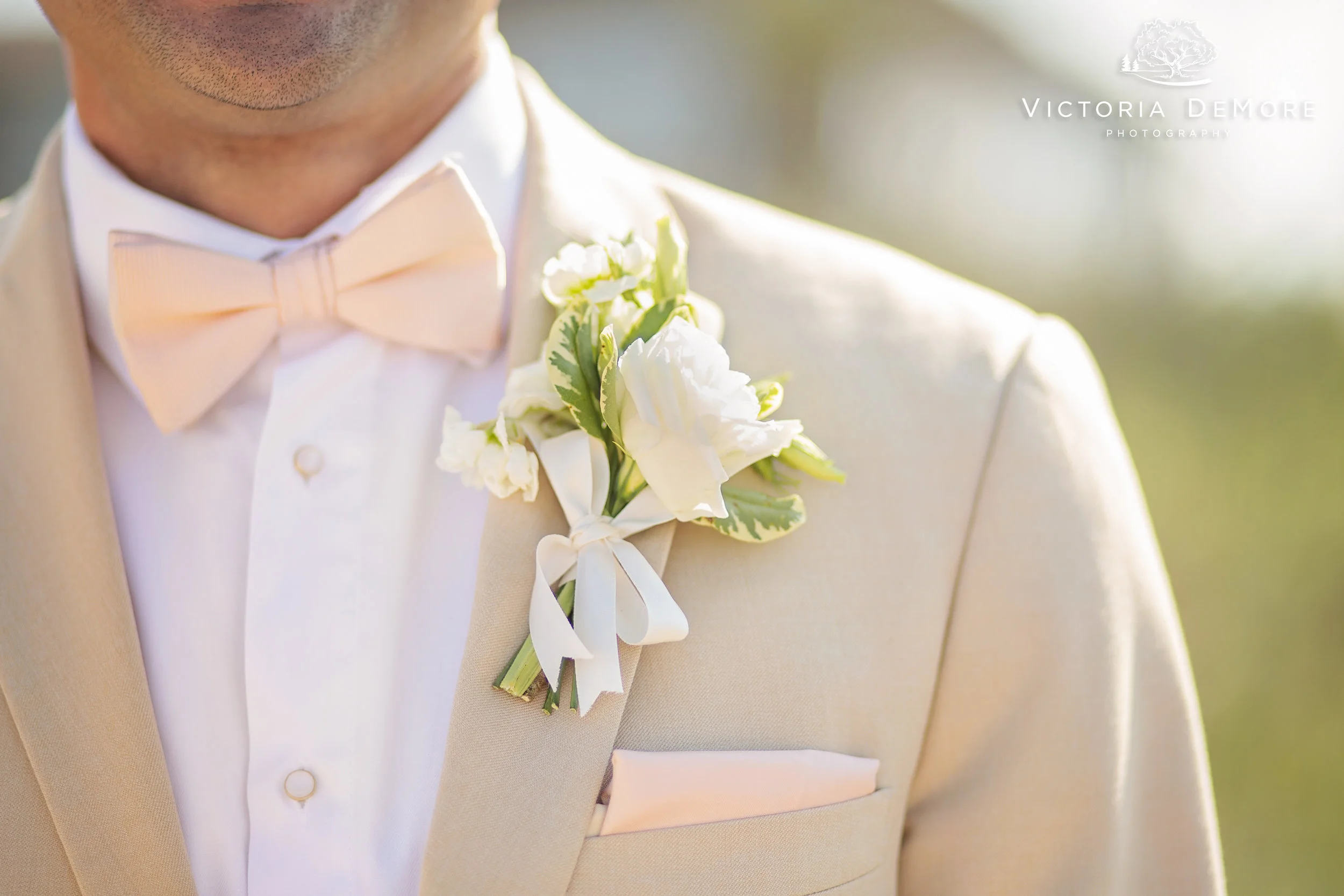 VDP_0907web.jpg
