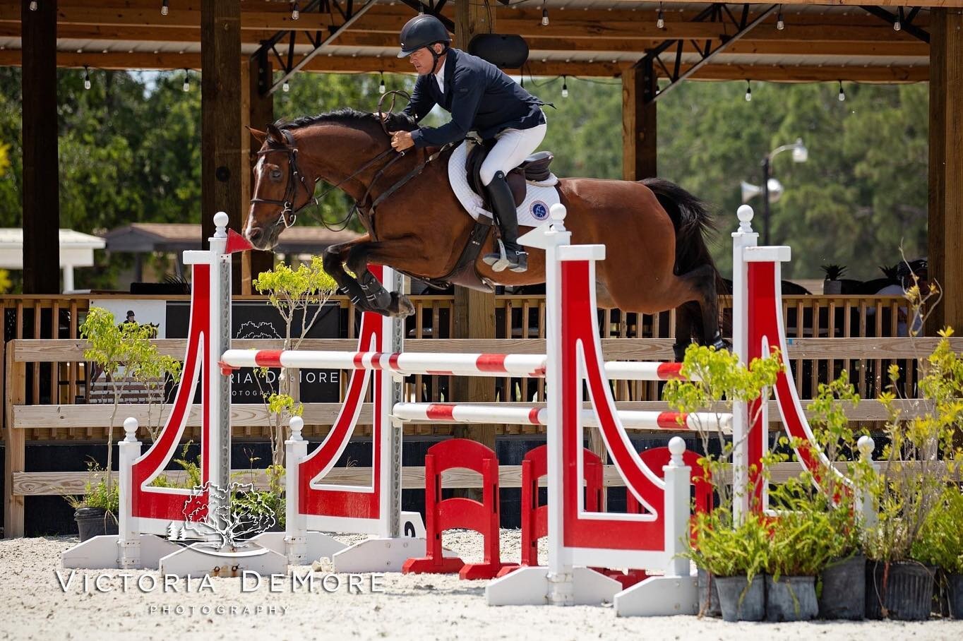 What a big day today at the May CFHJA show at Fox Lea Farm! We had some very competitive big classes for both the hunters and jumpers. 

First up was the $5000 1.30 Welcome Stakes where we give a huge congratulations to William Simpson for taking the