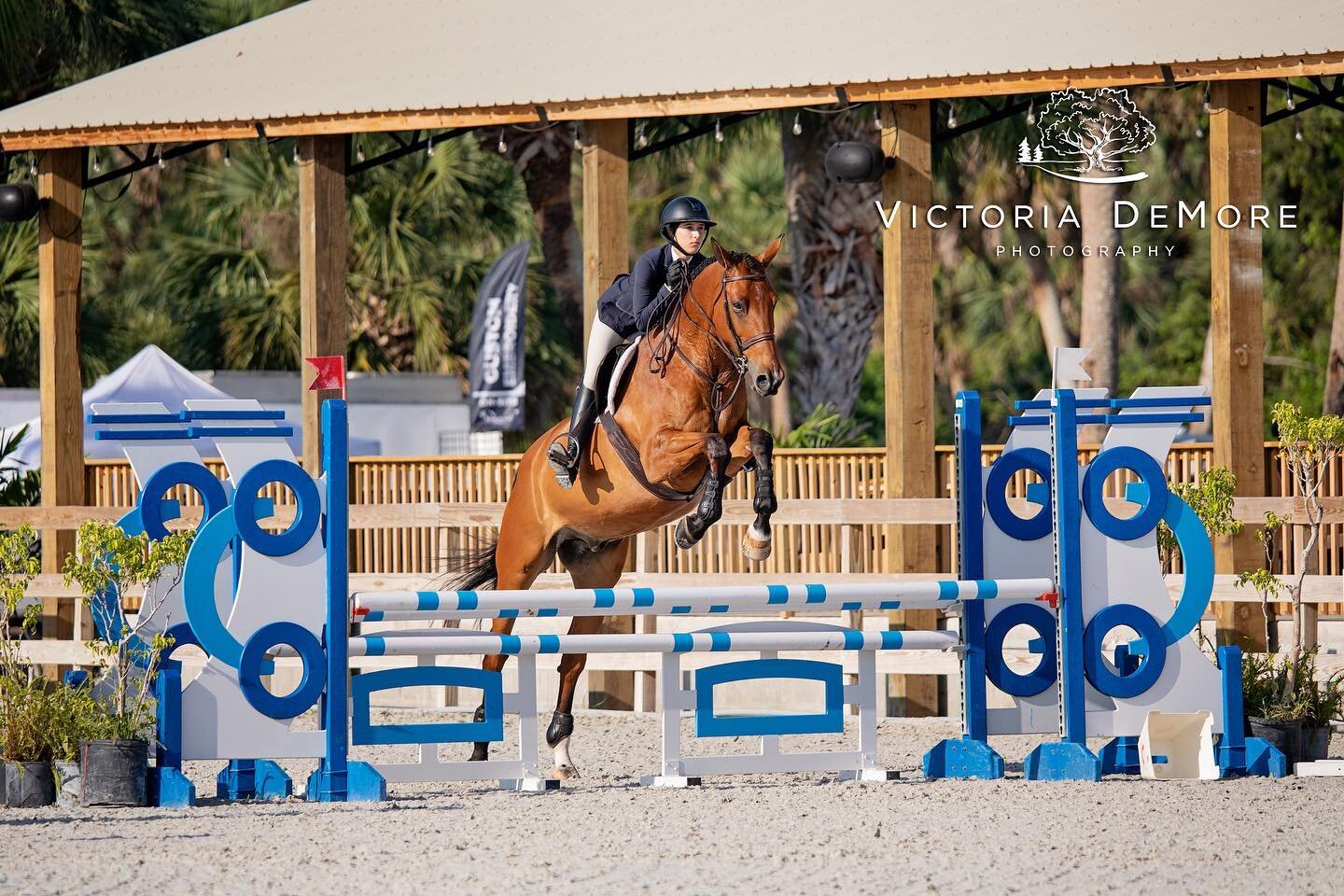 Congratulations to our $1000 Jr/AO/Pro 3&rsquo; Equitation Classic winner, Isabelle Ehman riding Photoshop. Thank you Bakker Family &amp; Clover Springs Farm for a great class 💛