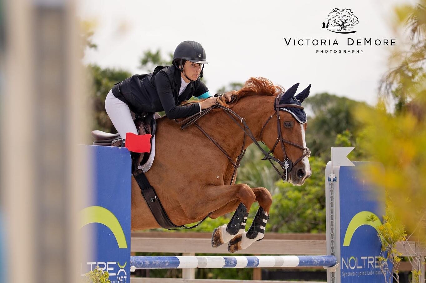 Rounding out the CFHJA Sunday Classics in the jumper ring, let's give a big congrats to six more winners! 

$1500 Junior Amateur Jumper Classic - Basje &amp; Schuyler Dayner

$2000 1.20-1.25m Jumper Classic - Dubai Q &amp; Bryce Richardson

$1500 M&a