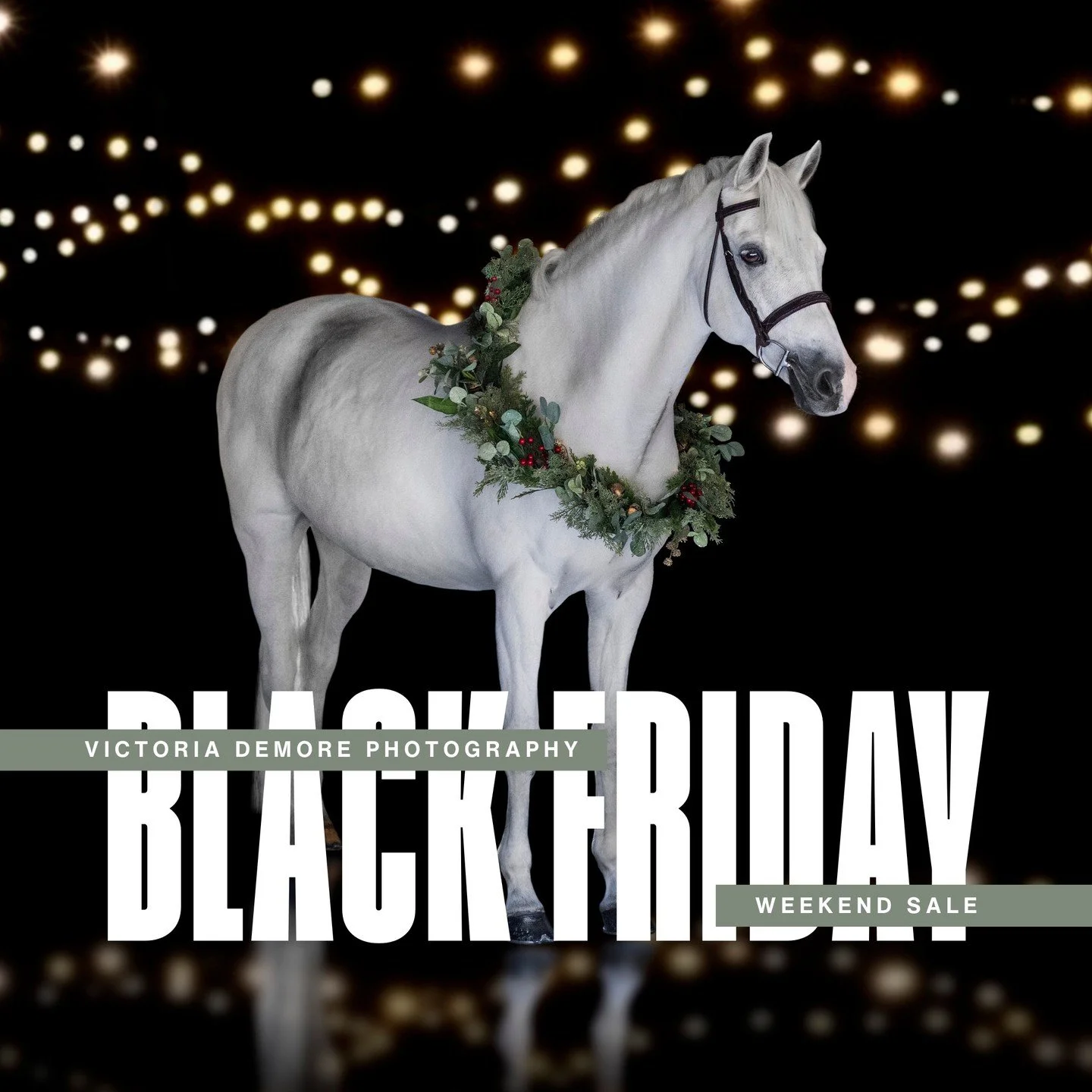 Get ready &mdash; this weekend only, Victoria DeMore Photography is dropping a super-rare Black Friday sale you don&rsquo;t want to miss!

🔥 What&rsquo;s on sale:

25% OFF ANY horse-show Gold Client package - whether Gold, Gold+, or Pro. That means 