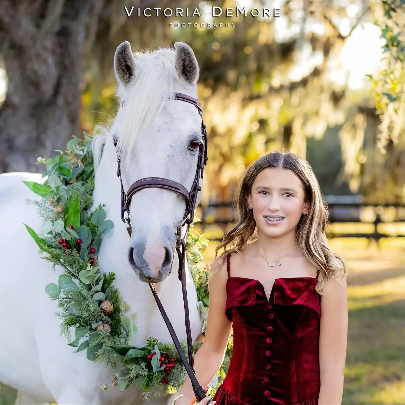 We had such a beautiful evening with some of the Lesley Cox Equestrian crew last weekend 💛🎄 Starting to get in the holiday spirit!