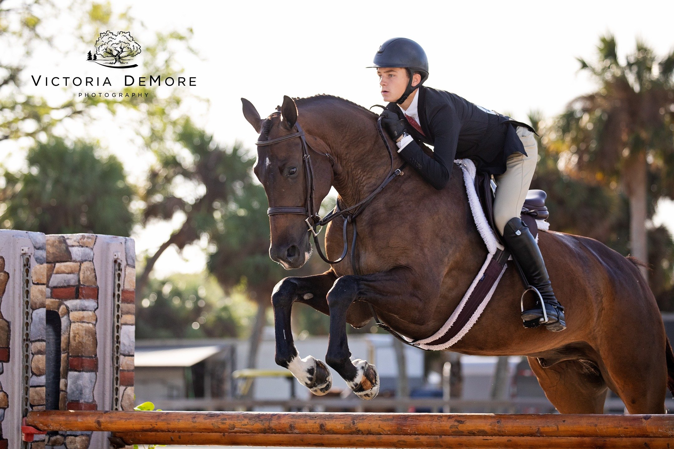 📷🐴 We're geared up and on our way to spend the next 4 glorious days with our CFHJA friends at Fox Lea Farm 🥳 Who else is looking forward to a great weekend of spectacular weather and even better horse showing? 🌴🌤🏆

⚠️TODAY IS YOUR LAST DAY TO S