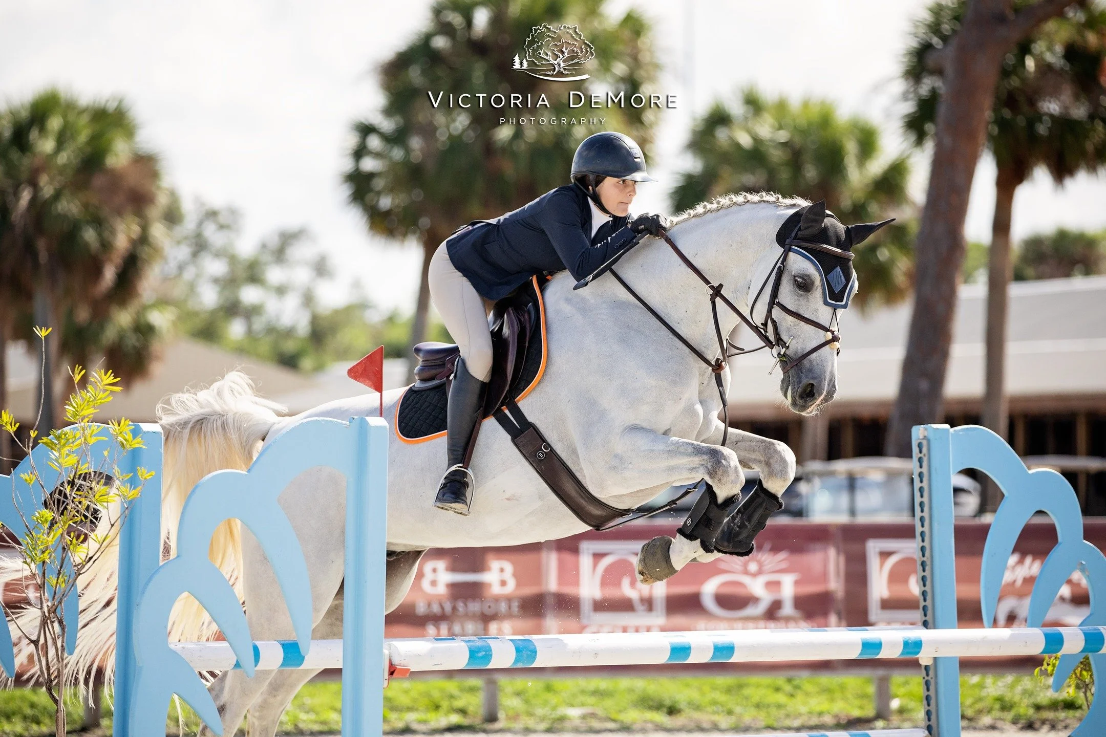 FOCUSED 🎯 ON YOU - This week the Victoria DeMore Photography crew can't wait to see our CFHJA friends again at beautiful Fox Lea Farm! 

📷💛 We've got you covered - BUT, if you are the type who hates to chose which photos you want, you want them al