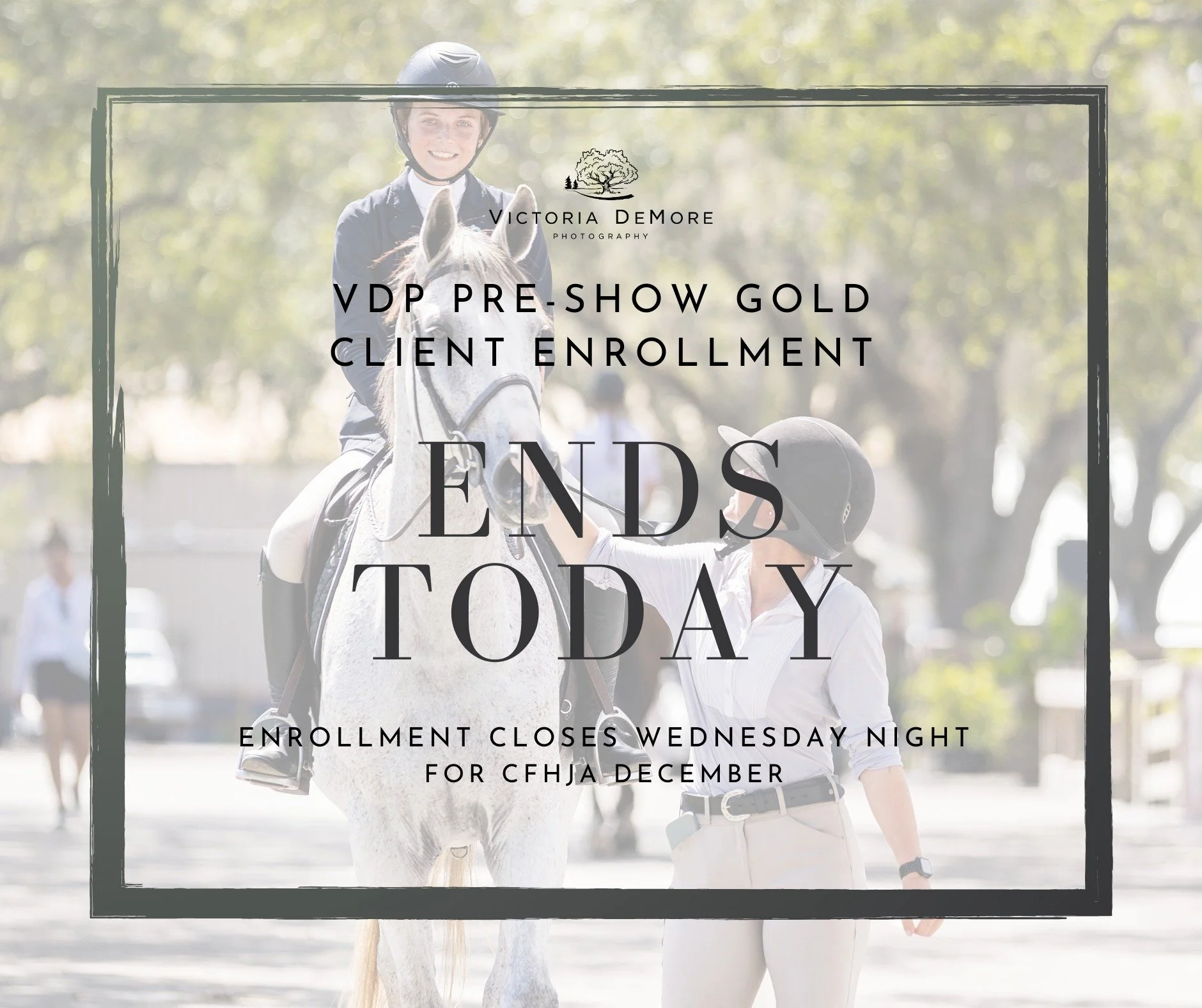 A friendly reminder to our CFHJA friends 🐴💚 &mdash; the clock is ticking ⏰ on the best deal for your show photos! 📸 Purchase ahead of the show, save money 💵, get ALL the photos, and never have to choose between your favorites ❤️. One budget-frien