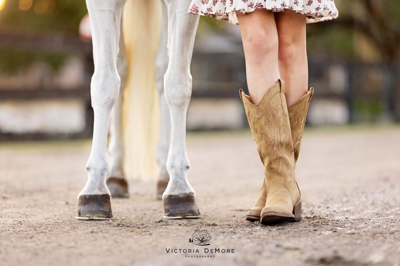 What a shoot to go out on for the 2025 year! 💛🦄 Had such a lovely evening capturing beautiful moments of Avery &amp; Winnie. Gotta love a little white pony full of personality!