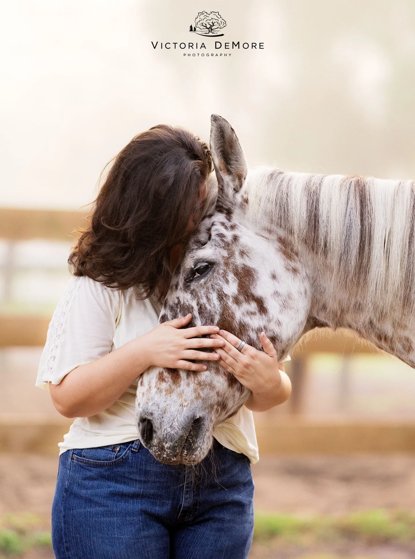 💛 They should get to live forever. But, a life well loved is a life well lived 💛

It's always an honor and a privilege to capture a horse who has been an integral piece of someone's life. To see two souls so intertwined. It truly gives a deeper mea