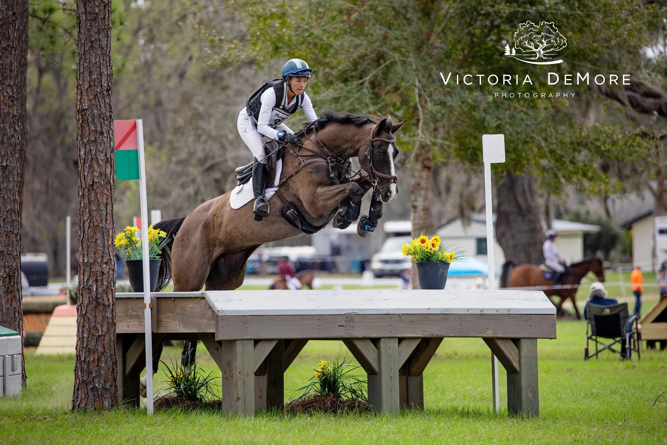 Jeepers! It's going to be cold this weekend but you know what makes it better? It's Three Lakes Horse Trials weekend!! 

Victoria DeMore Photography can't wait to capture more memories this year 💛📷 Some important notes in this post, so if you're co