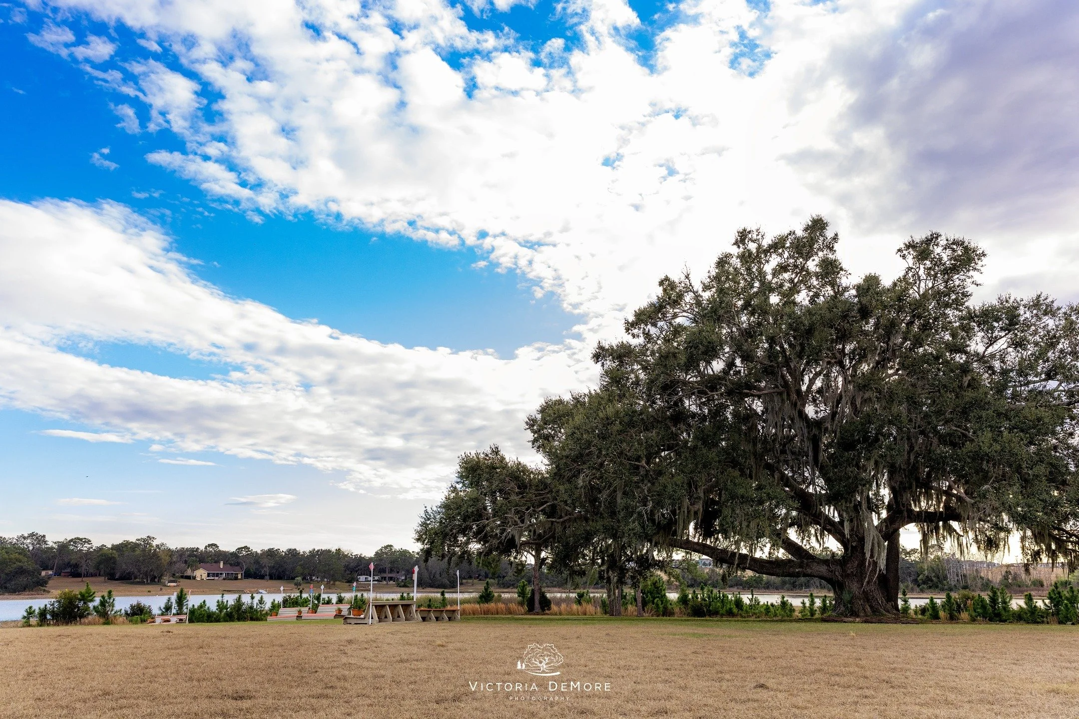 Eventers! Are you braving the weekend with us? Three Lakes Horse Trials is one of the prettiest venues that needs to be on your calendar! Beautiful rolling property surrounded by lakes, dotted with live oaks with Spanish moss catching the wind and so