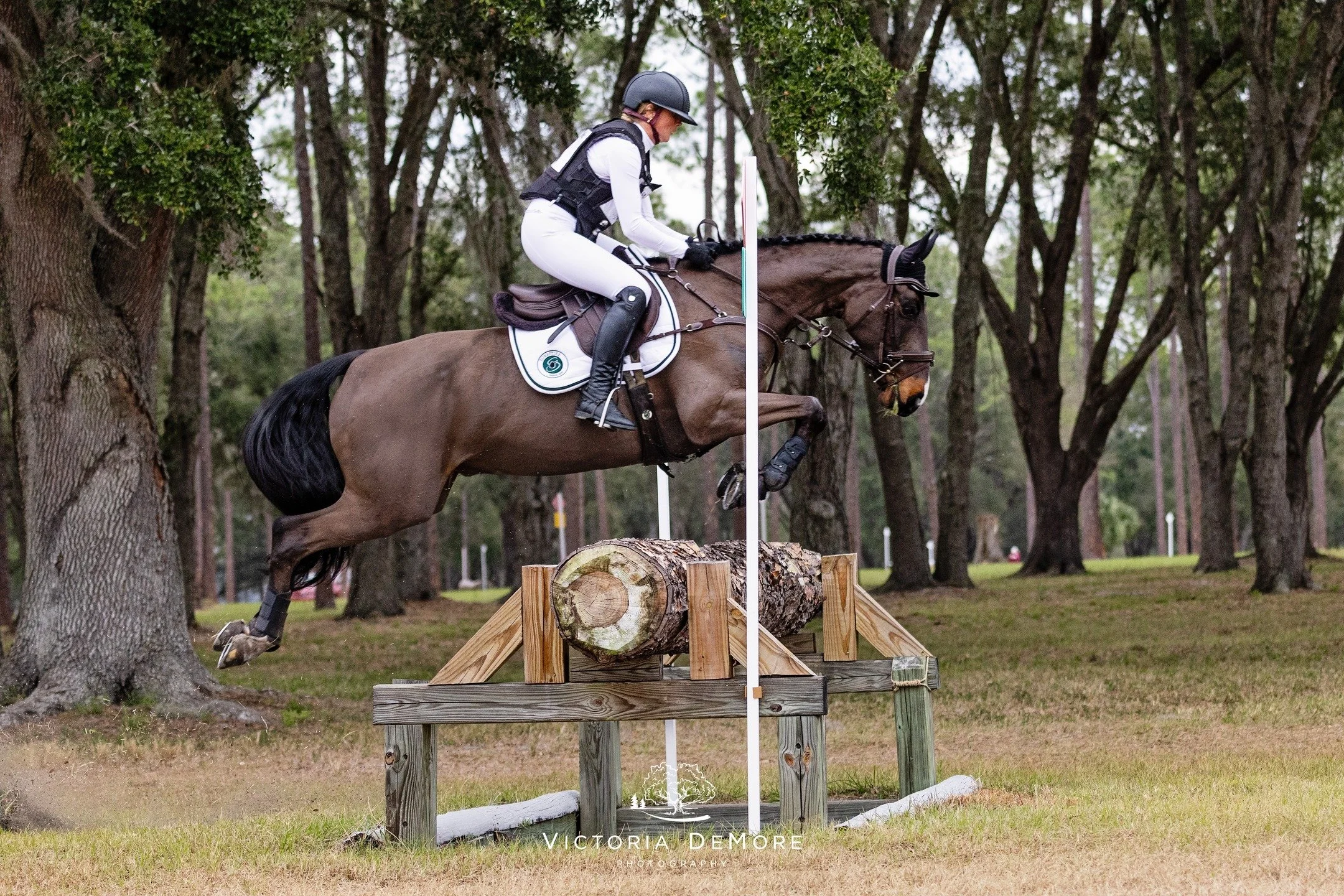 We did it guys! Thanks to everyone at Three Lakes Horse Trials for keeping the weekend moving along through the cold and wind! To the exhibitors that braved the weather on I'm sure fresh horses, judges &amp; volunteers who bundled up and gave their t