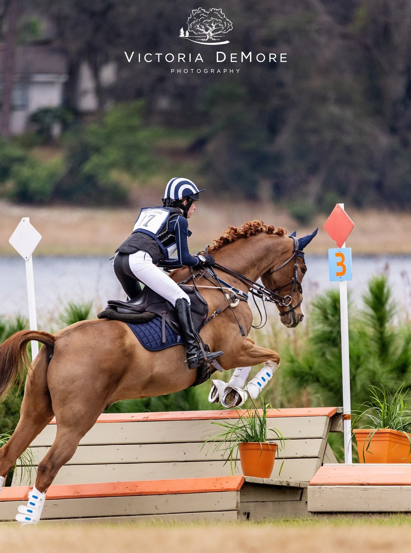 Three Lakes Horse Trials exhibitors! Couple of notes from your 📷 photographer. ALL LINKS IN BIO. 

💛 WINTER I HT (Jan 31-Feb 1) SAVINGS ENDS SOON - 
Early Bird Pricing ends on FRIDAY! Get those lower prices by purchasing before the end of Friday. B