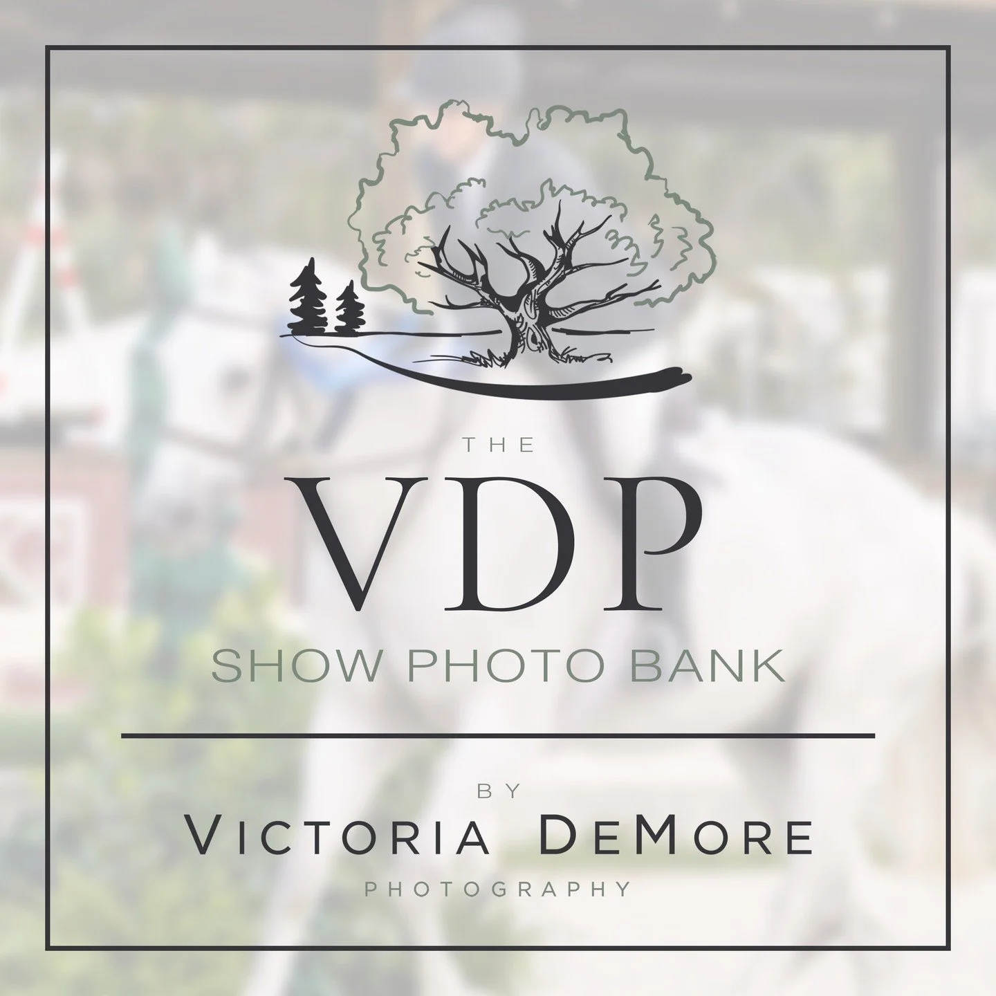 📷 Big news horse show friends 🎉

We&rsquo;re introducing The VDP Show Photo Bank - a prepaid bulk photo option designed for riders, trainers, and families who compete throughout the season.

If you regularly purchase show photos, this is the smarte