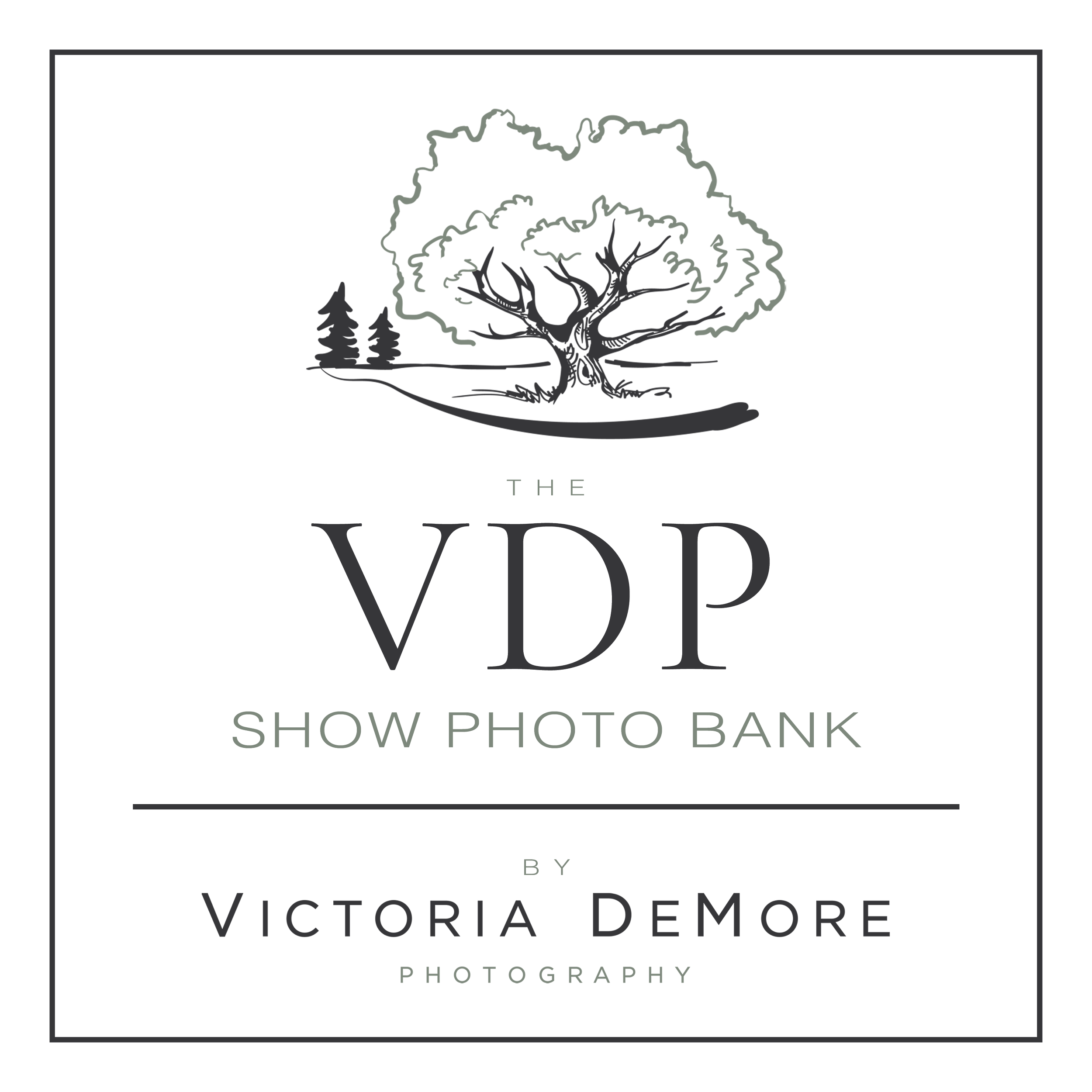 The VDP Show Photo Bank - 50 Photo Option