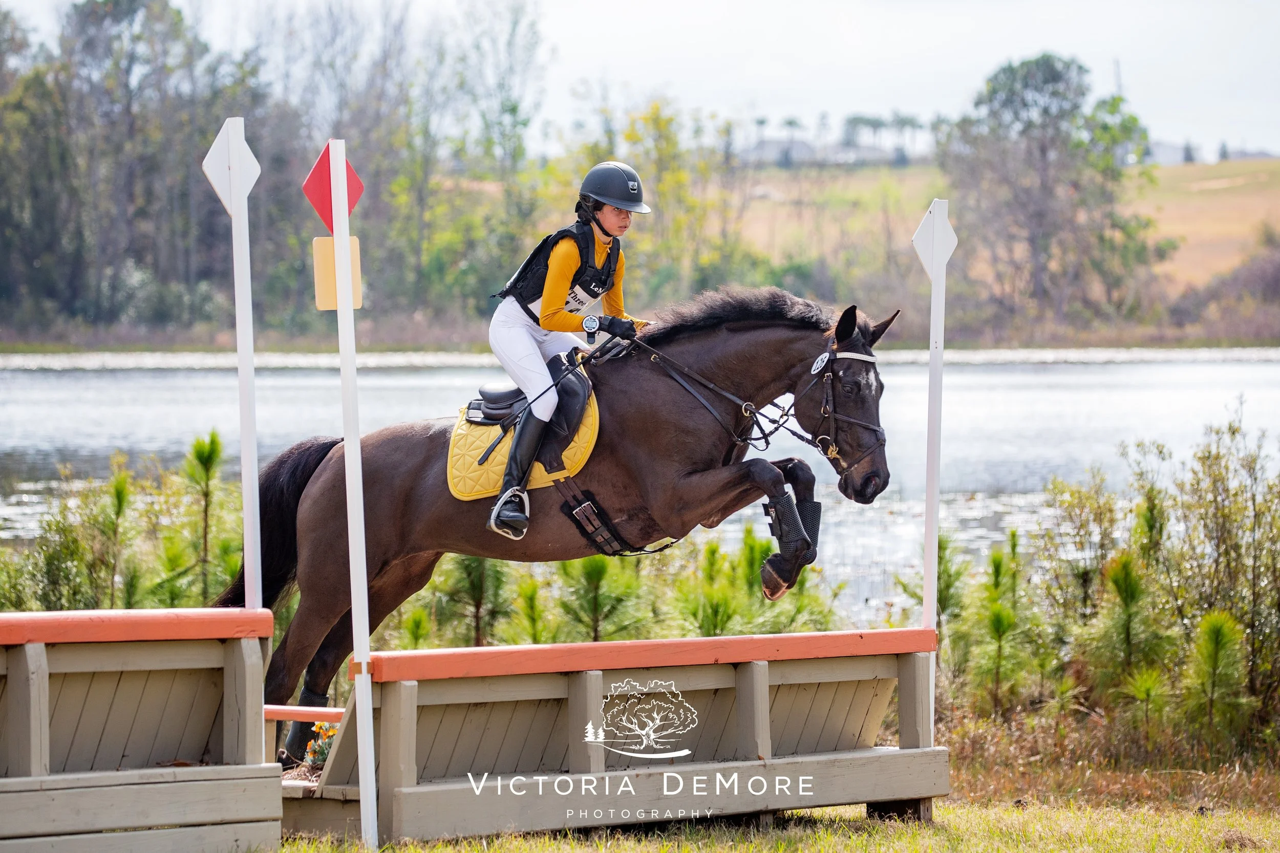 A girl riding a dark bay horse jumping a beginner novice cross country fence with lake in background