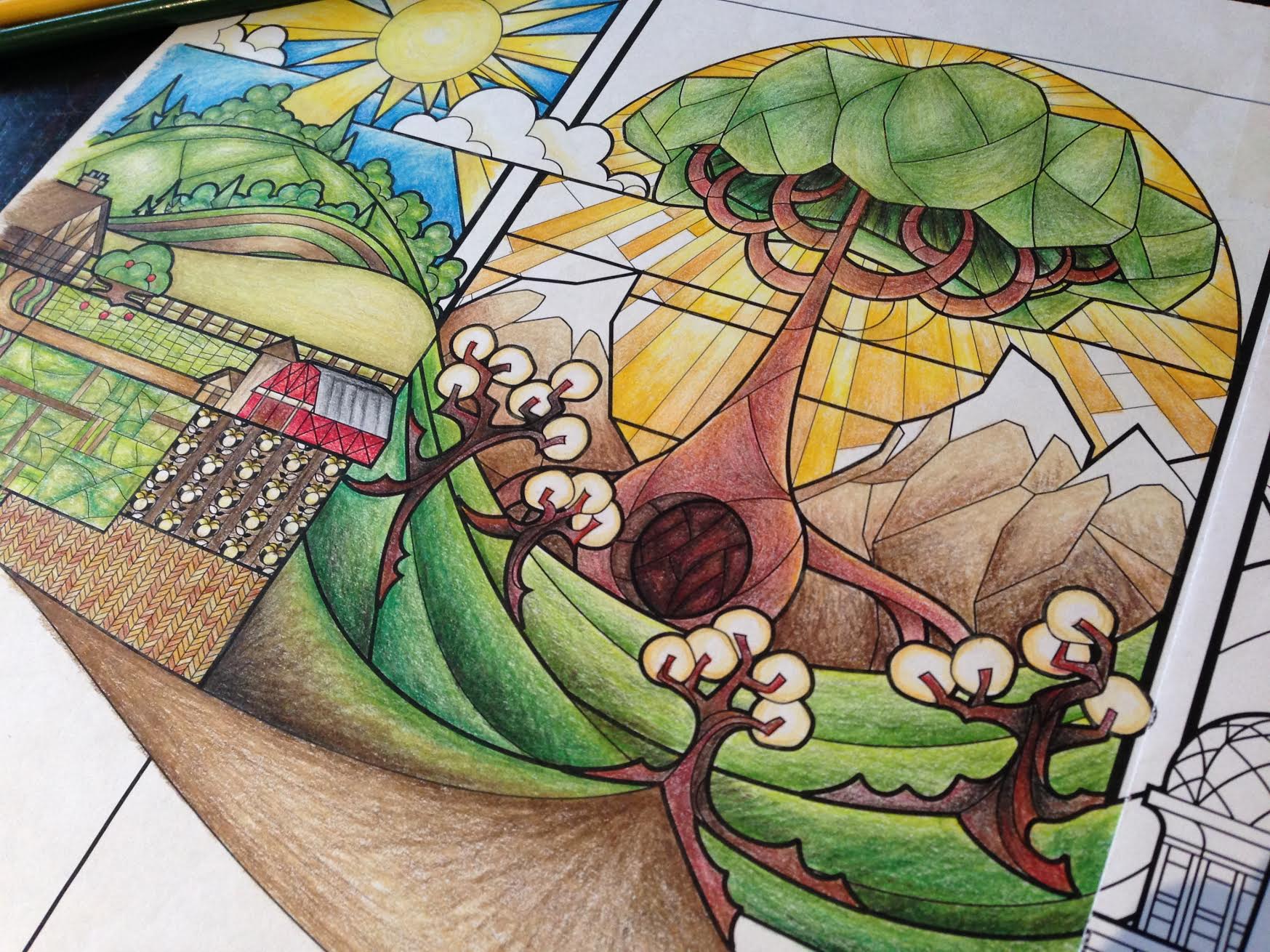 COLOR PENCIL SKETCH
