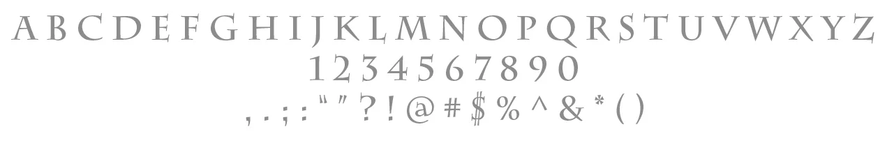 Primary Typeface / Charlemagne STD Bold