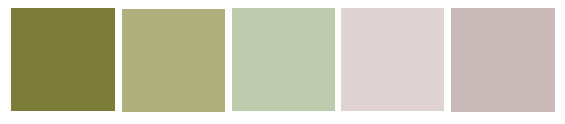 COLOR SCHEME