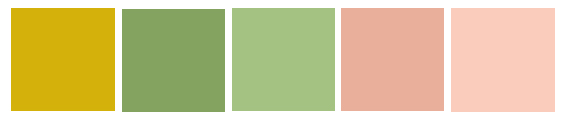 COLOR SCHEME