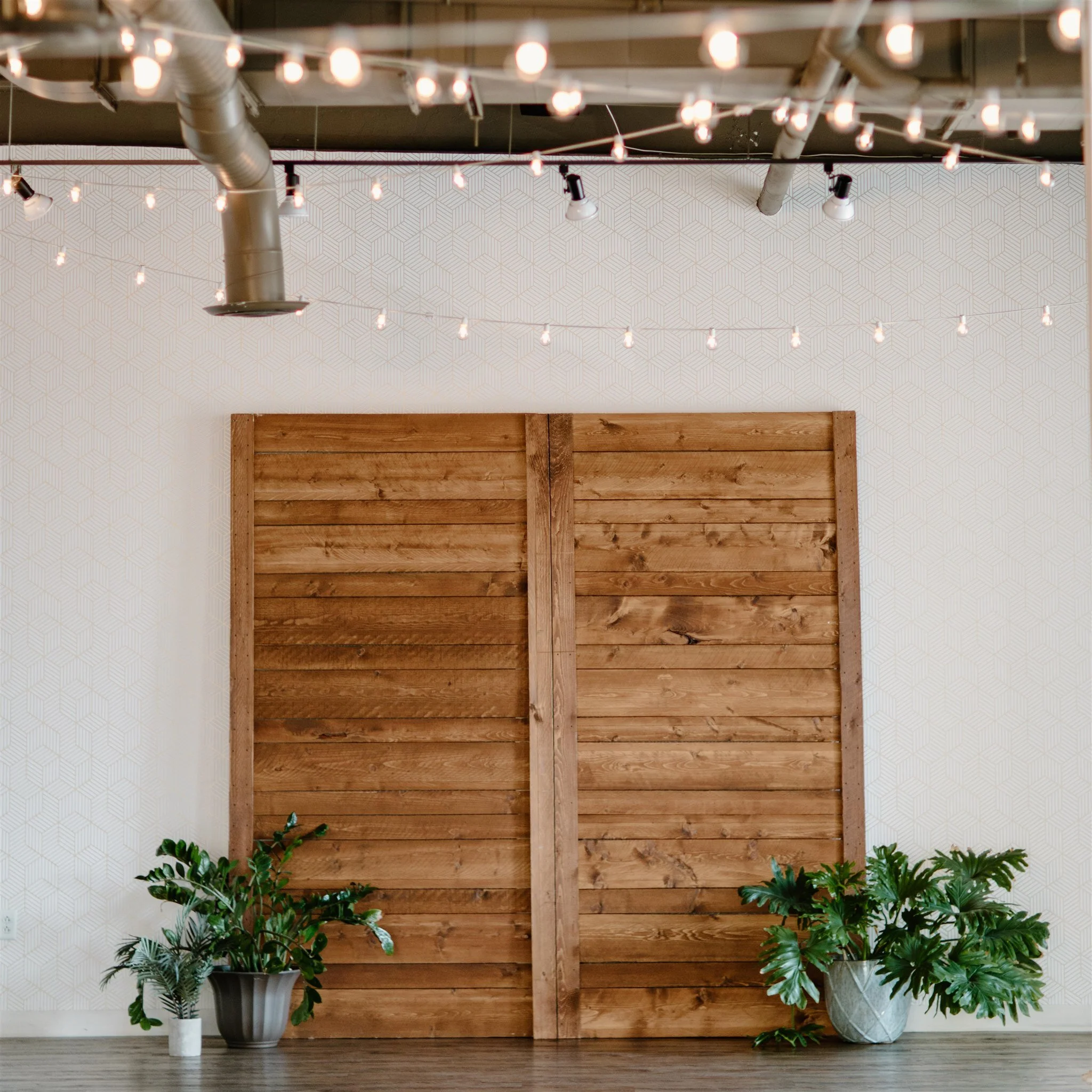 www.branditoolephoto.com-64.jpg