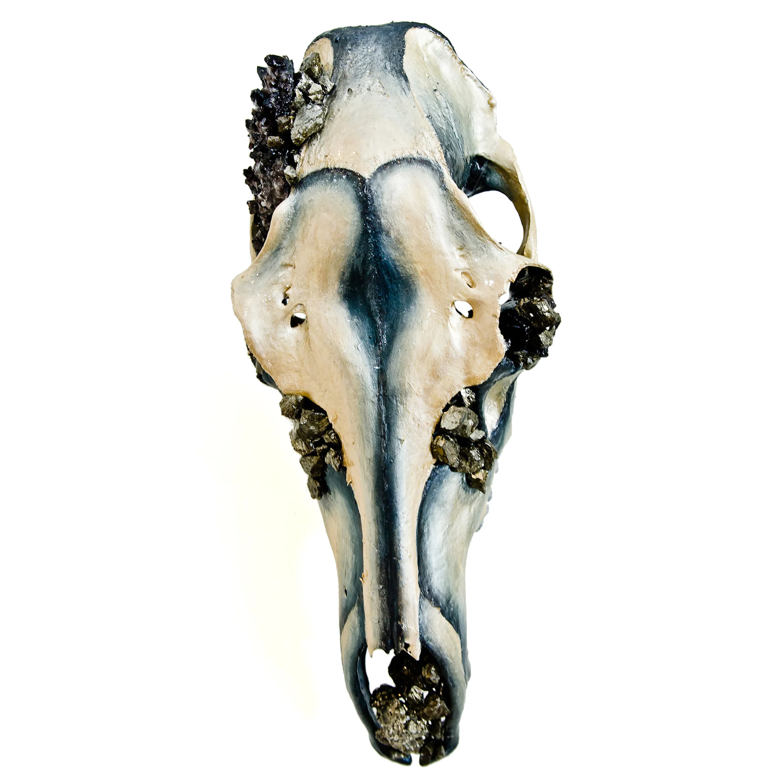 KPierce_skull goldilocks-skull.squarespace.instagram 2 copy.jpg