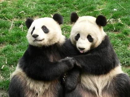 After their coffee and eucalyptus date in the park, he decided to reach for her hand.