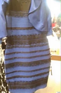 Image taken from: http://www.buzzfeed.com/catesish/help-am-i-going-insane-its-definitely-blue