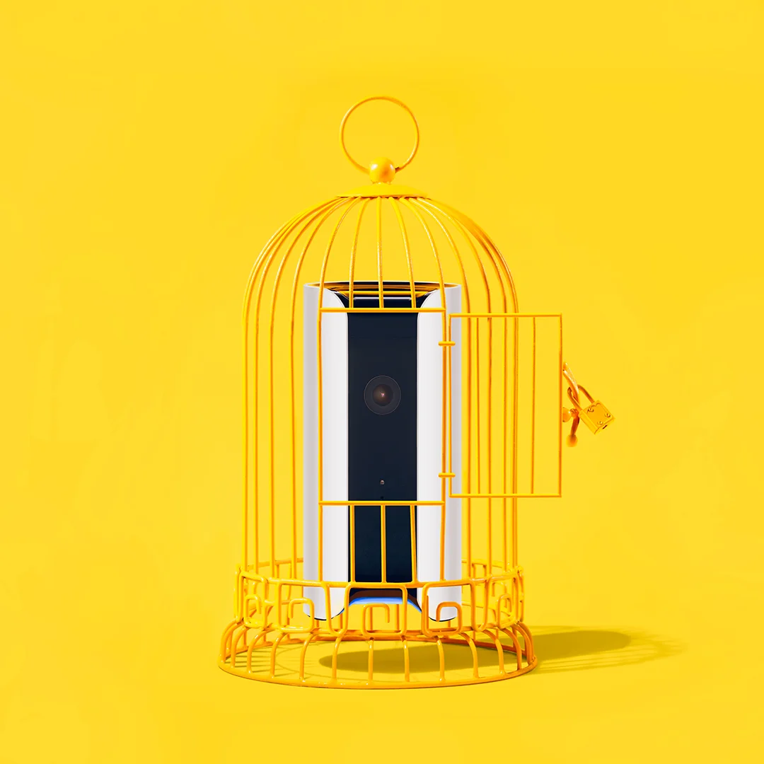 LISO_CANARY_NoExp.jpg