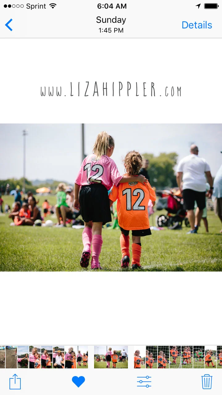 hippler-mmpp-how-to-choose-favorites-3 copy copy.jpg