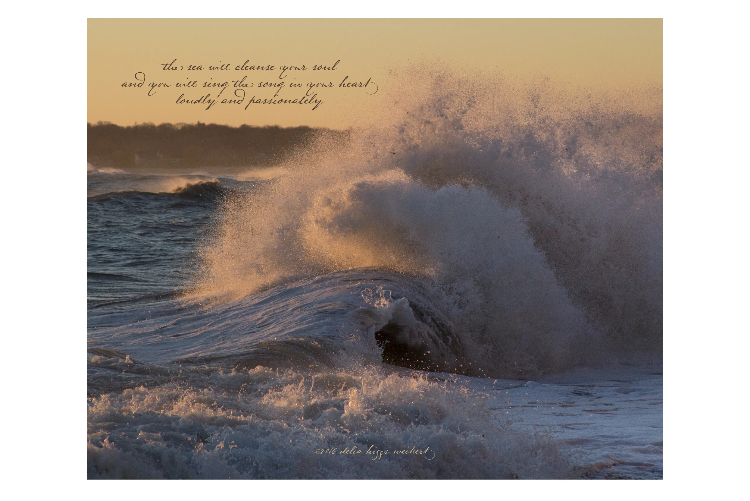 Art for note cards and prints