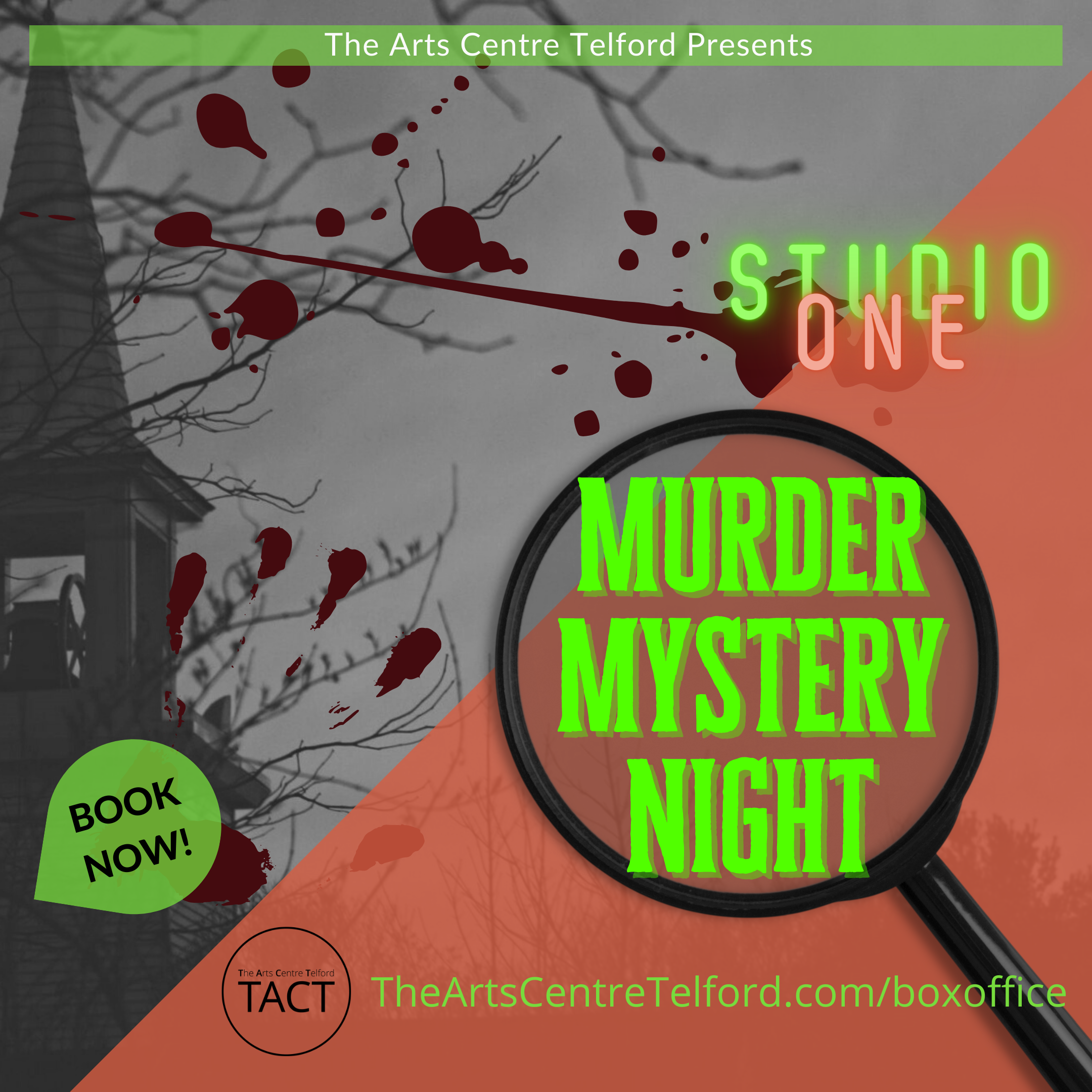 Murder Mystery Show: Saturday 15th October 2022 @7pm 