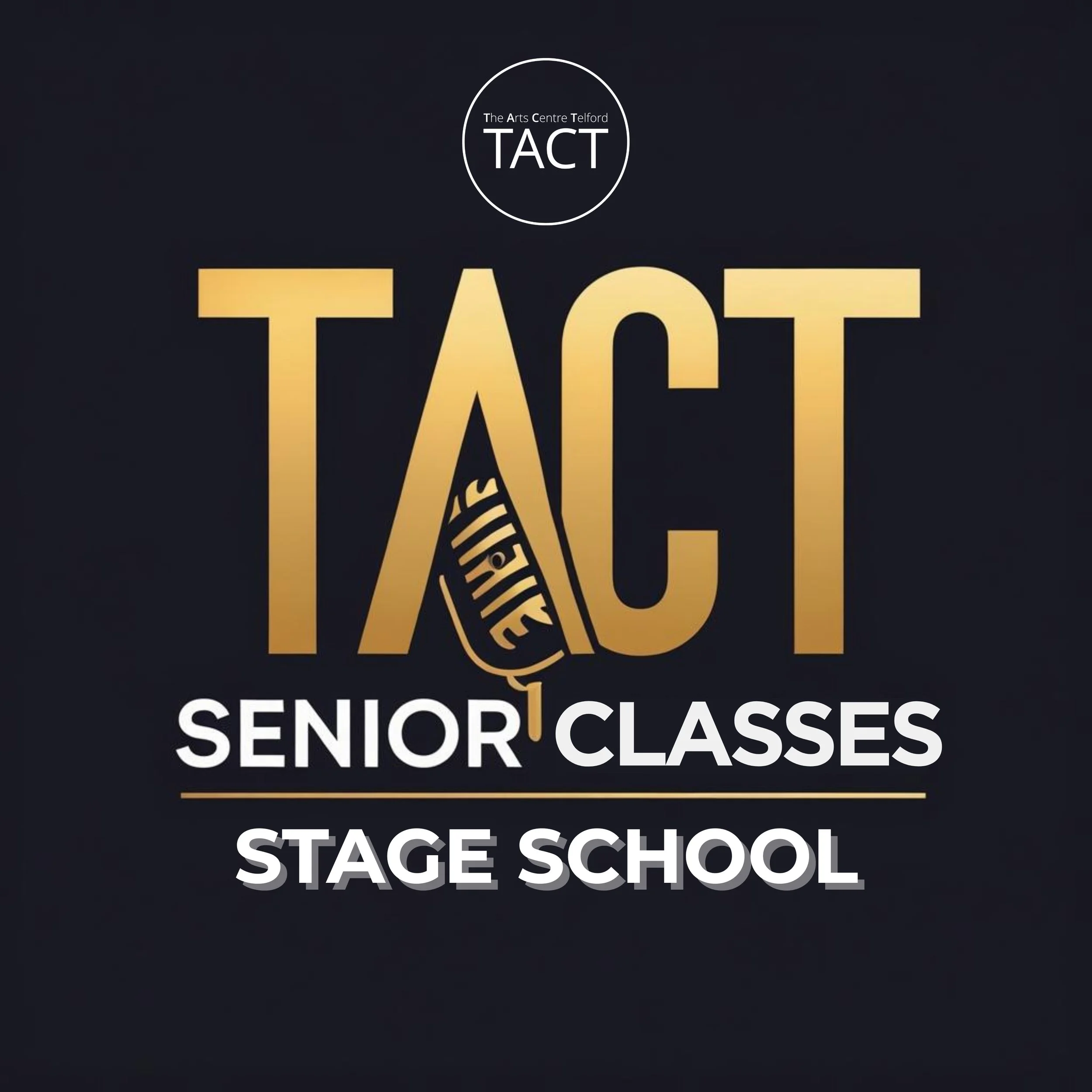 Senior Stage School - (Weekly)