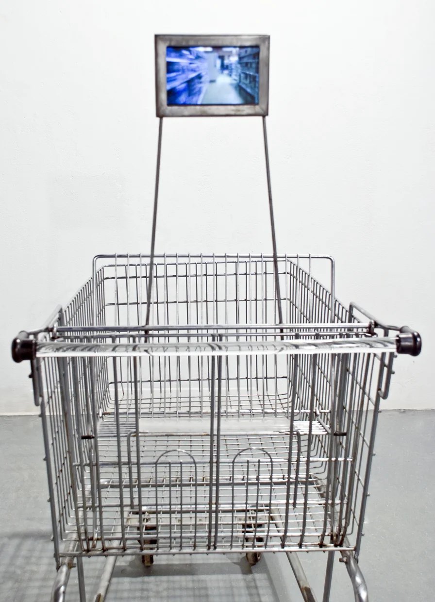 Grocery_Trip_detail_1240.jpg