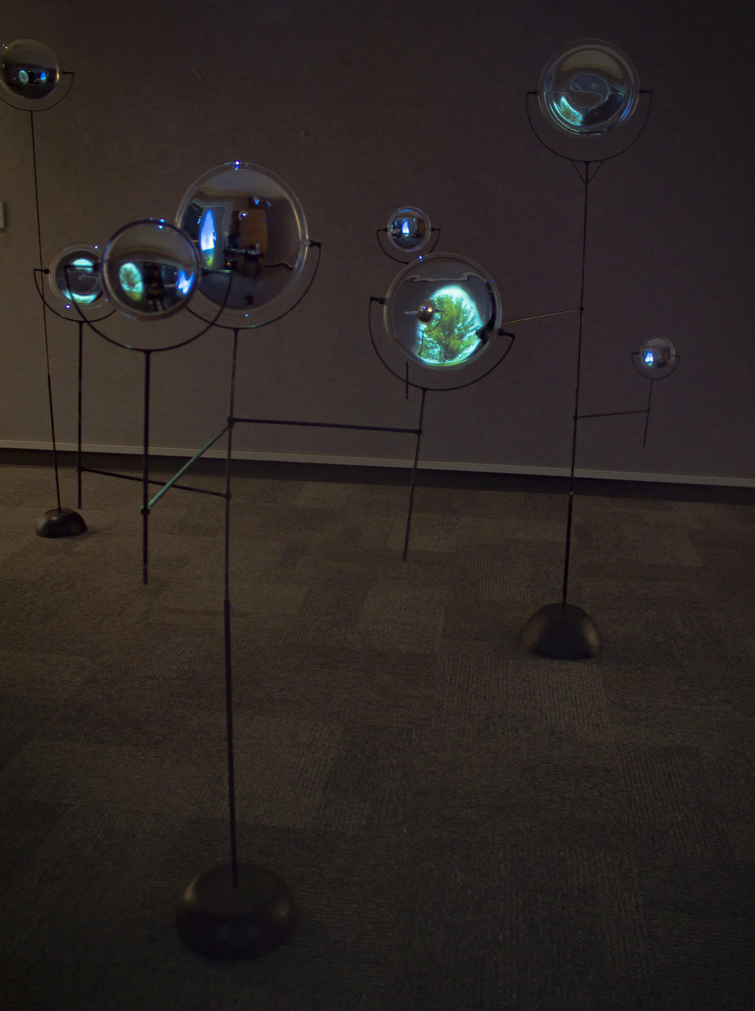 "Umwelt" 2016