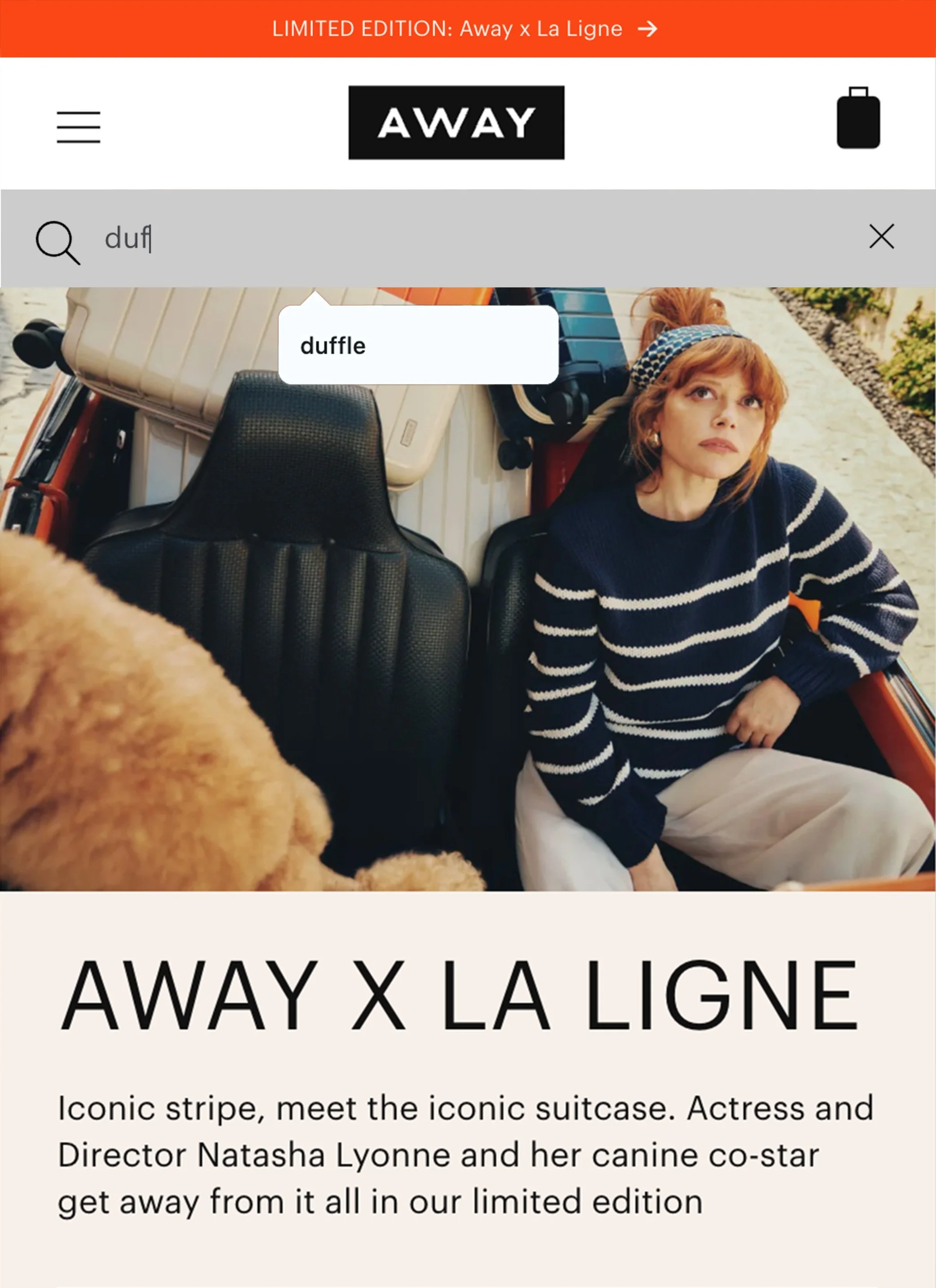 AI Site Search
