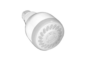 Wall Mounted Showerhead