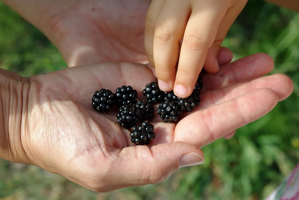A scrumptious recipe... for learning (II)