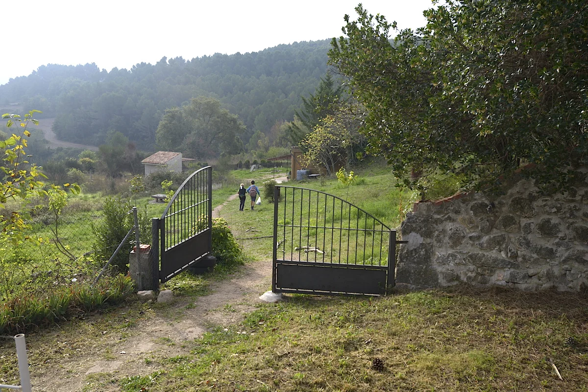 El Roure: el bosque sí es una escuela