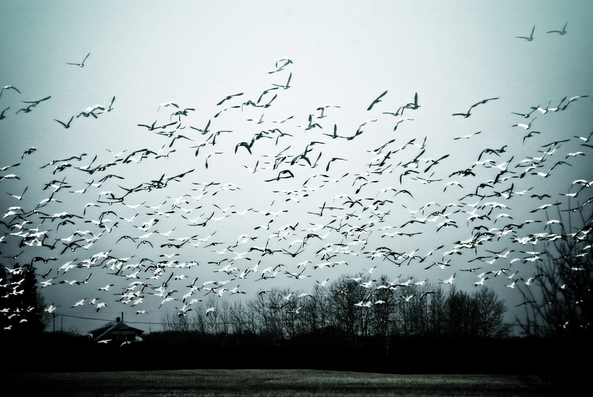 #Premios20Blogs: ¡Tenemos que intentarlo!