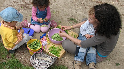 Niños y una acompañante pelando guisantes para la comida.