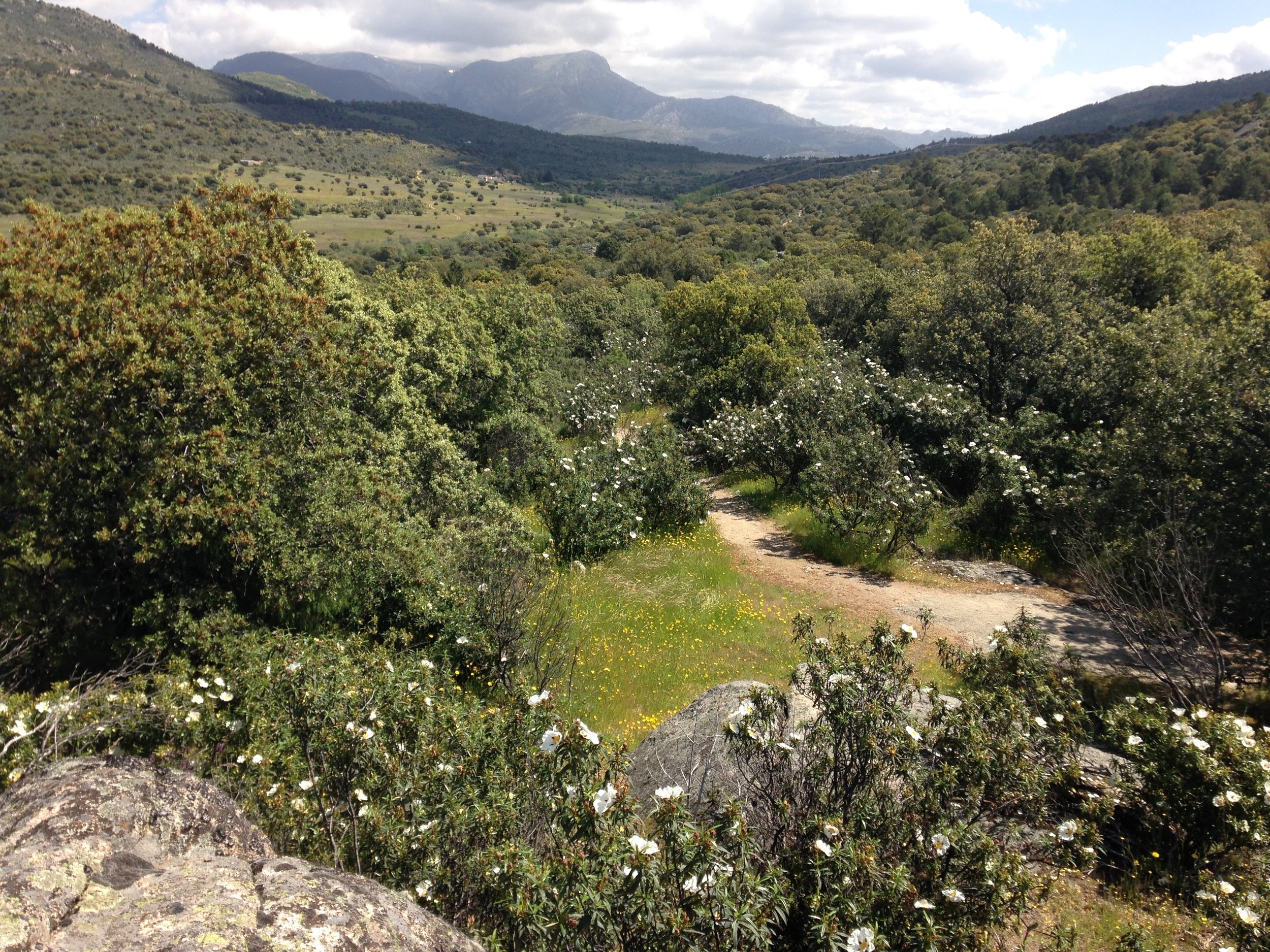 La Sierra de Guadarrama, hábitat del Grupo de juego en la naturaleza El Saltamontes.