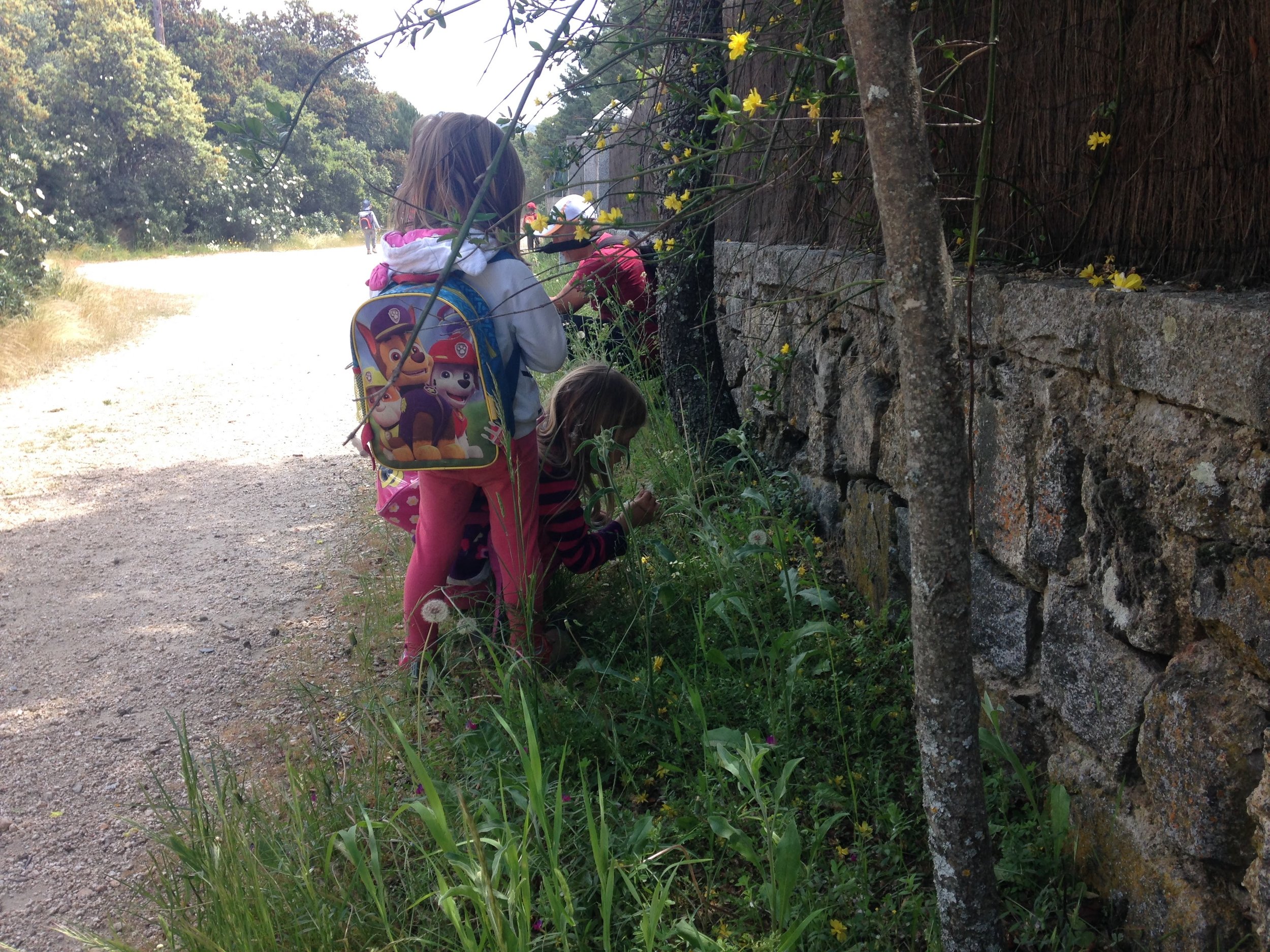 Unas niñas se detienen para recoger plantas al borde del camino.