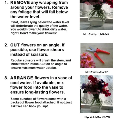 Flower Care.jpg
