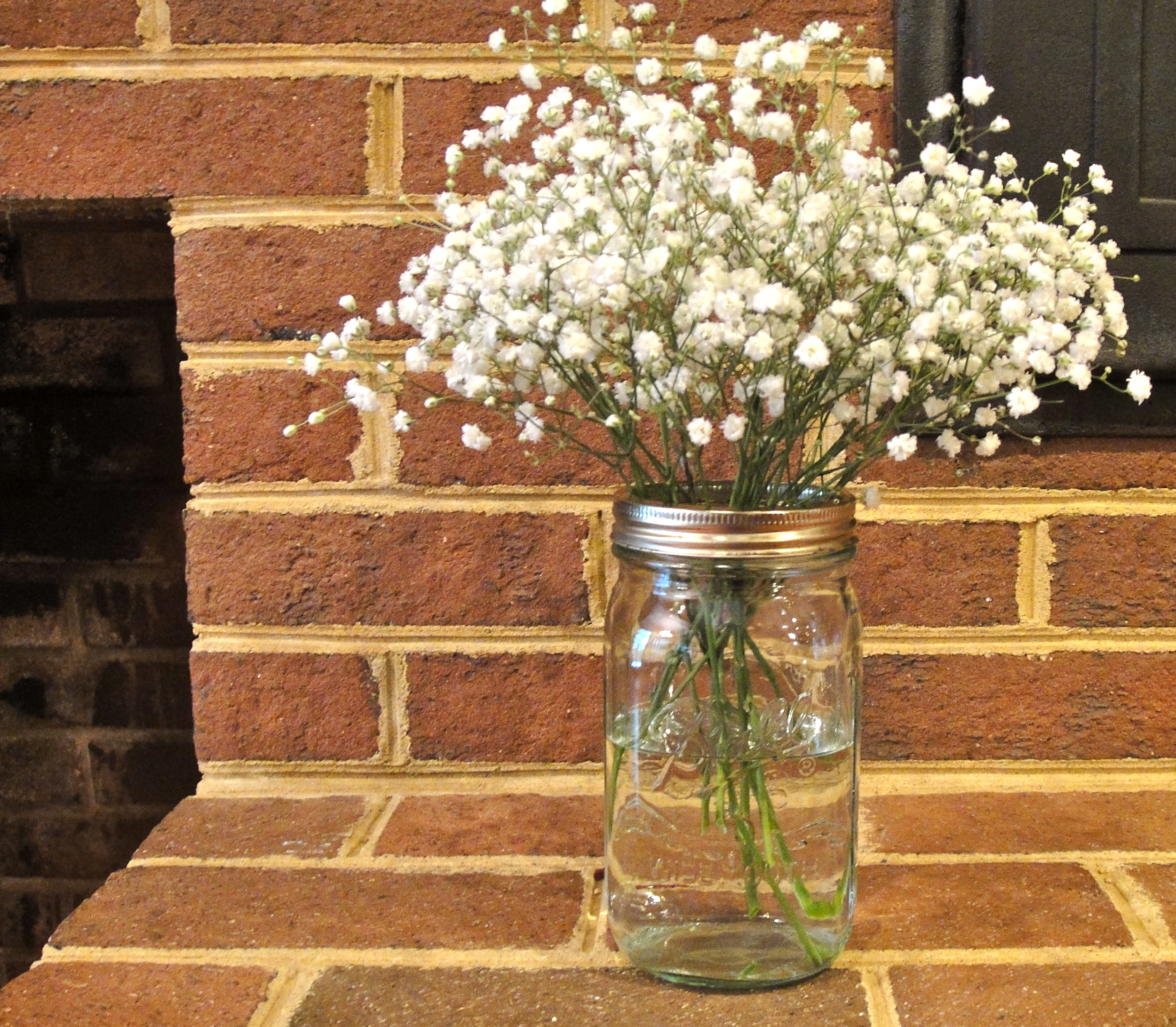 Working With Baby's Breath — Wholesale Flower Market