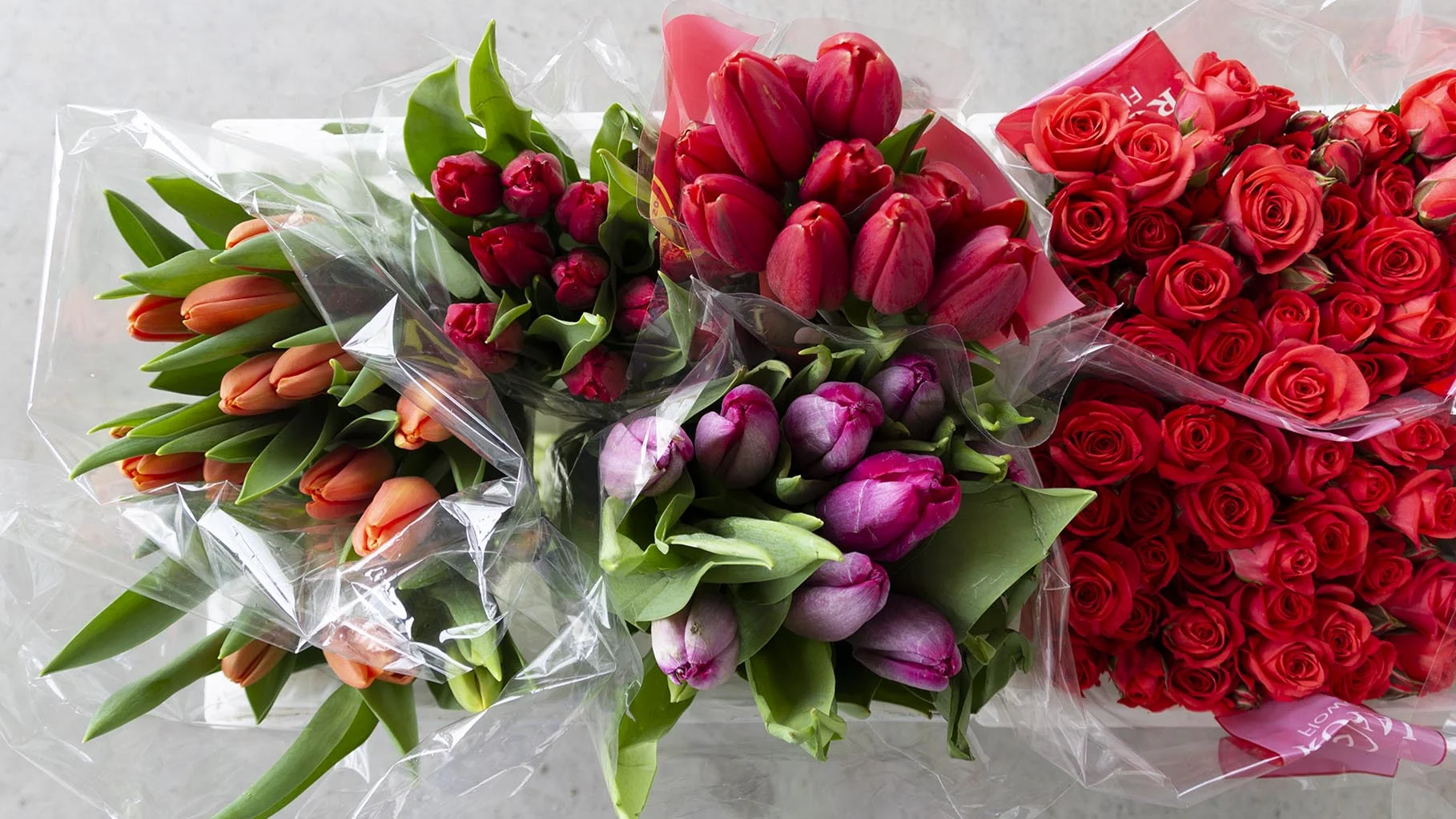 WFM_Website_Offerings_Header_Option1.jpg
