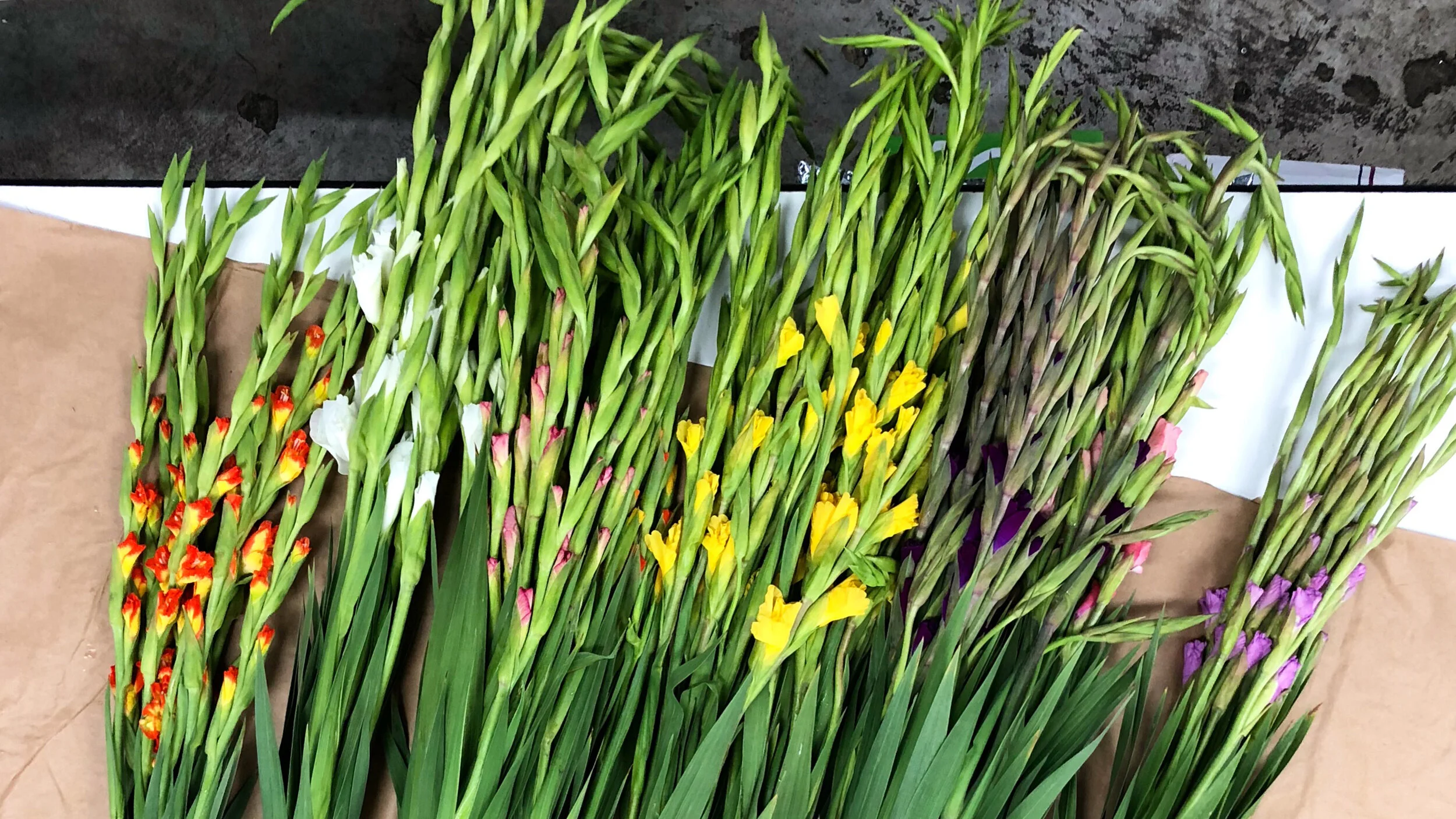 Wholesale Flower Market