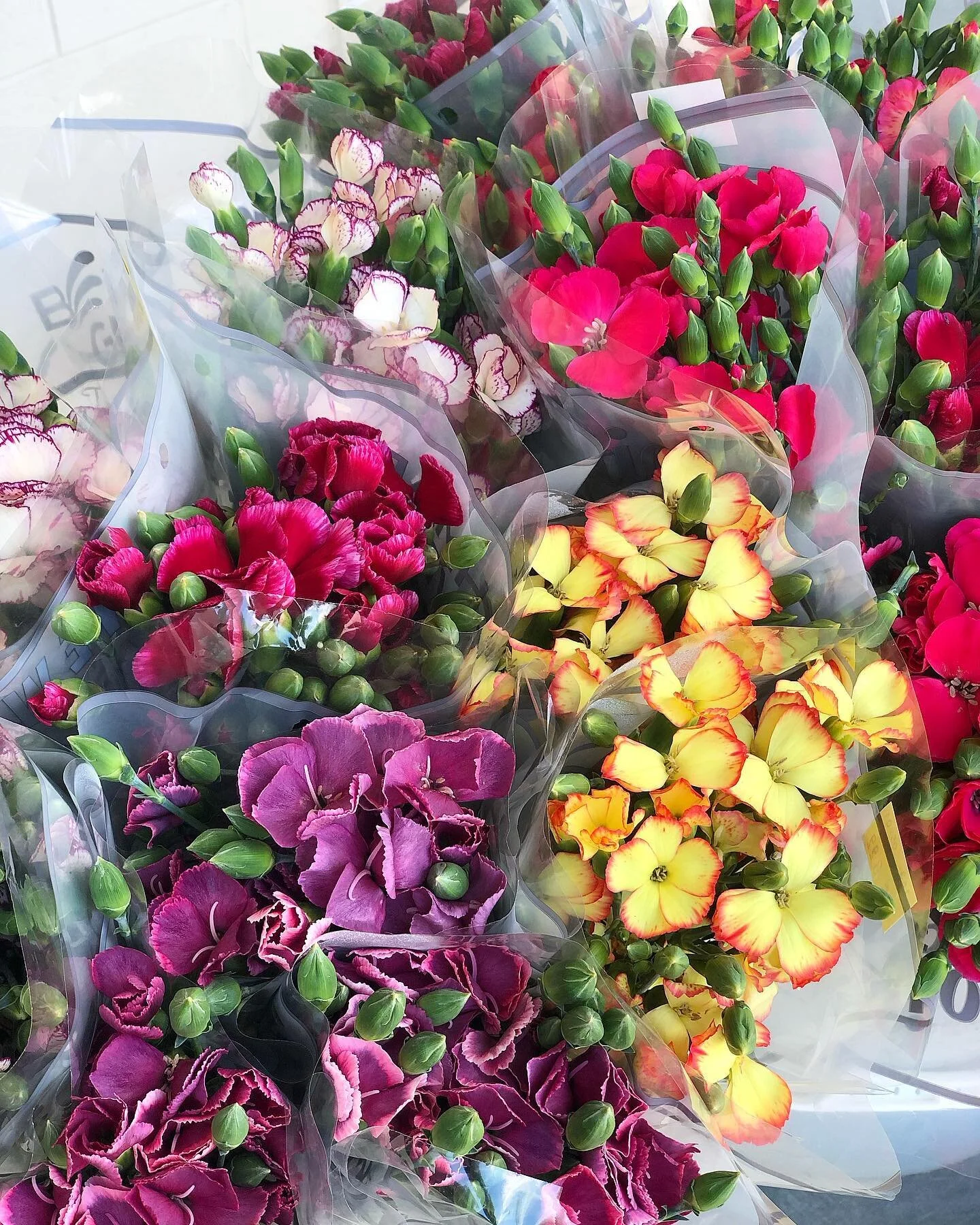 Wholesale Flower Market