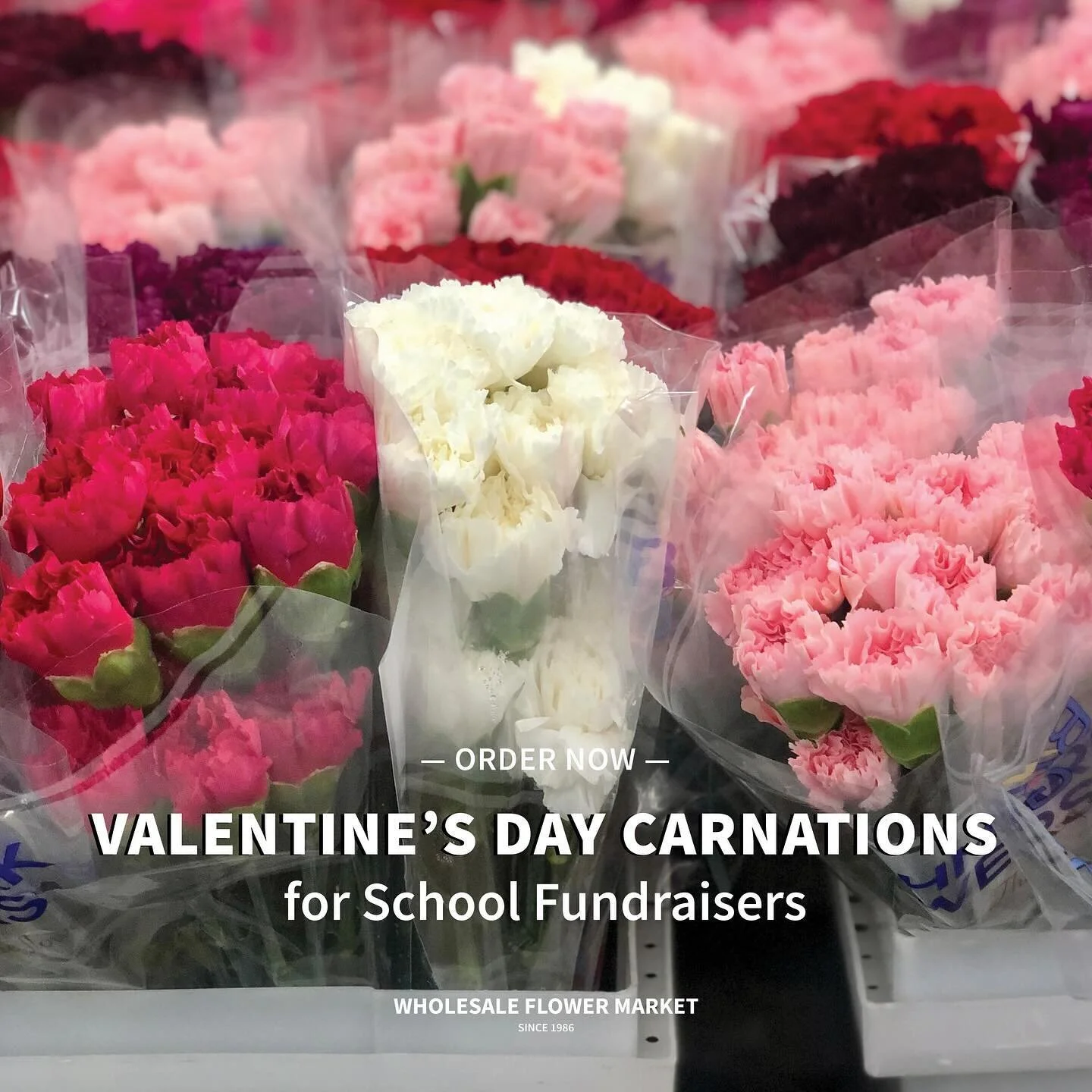 Contact — Wholesale Flower Market