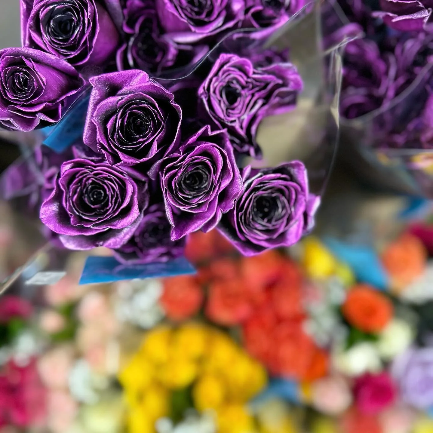 FAQ — Wholesale Flower Market