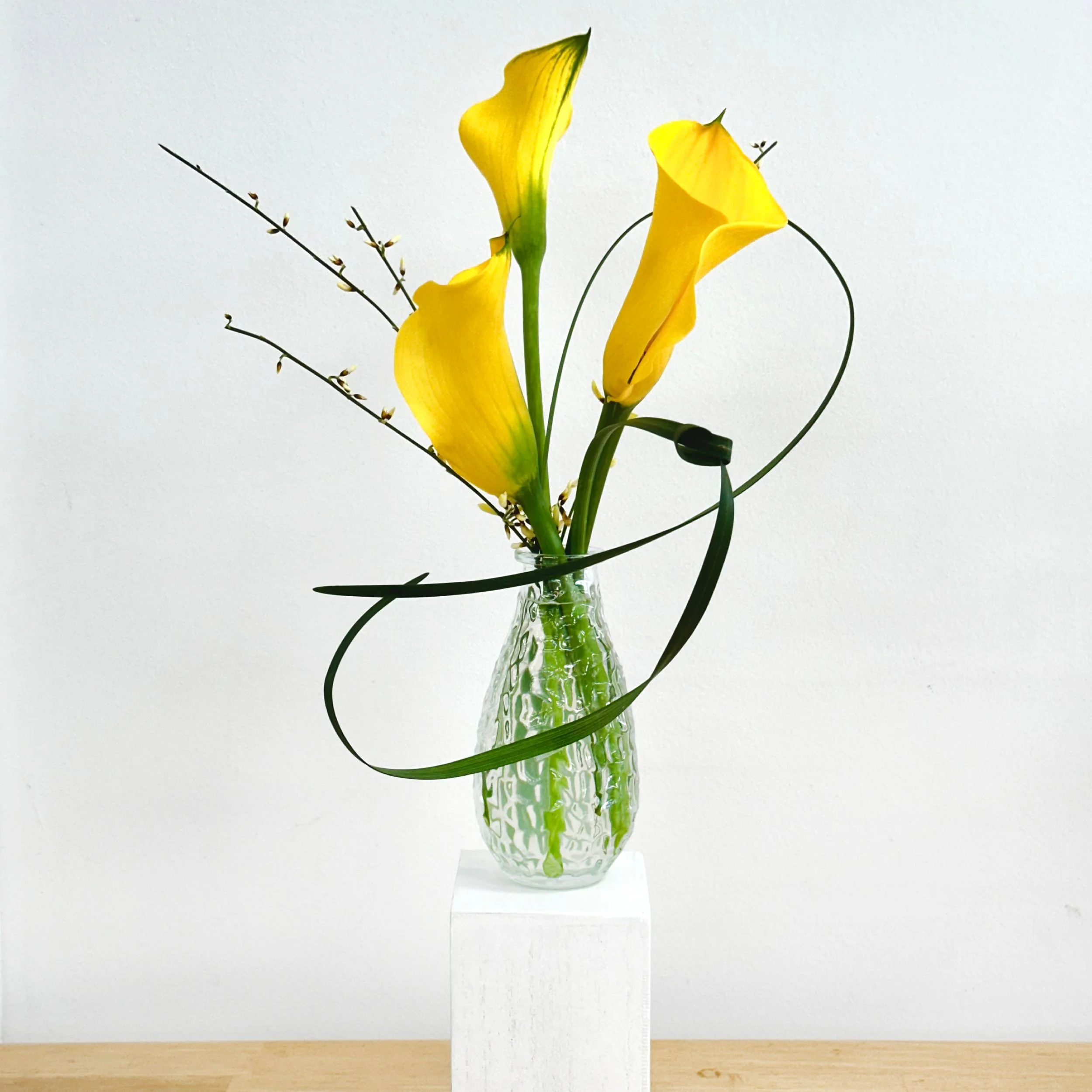 WFM_Workshops_March2024_Kit2.jpg